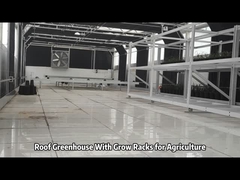 Roof Greenhouses With Grow Racks