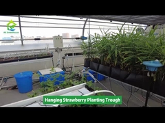 Hanging Strawberry Planting Trough Space-saving