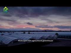 Large multi-span film agricultural greenhouse