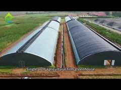 Arch film greenhouse with sunshade net