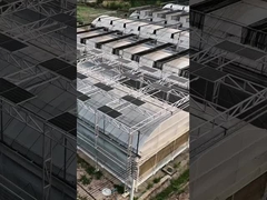 Modern intelligent Venlo polycarbonate panel multi-span solar photovoltaic greenhouse