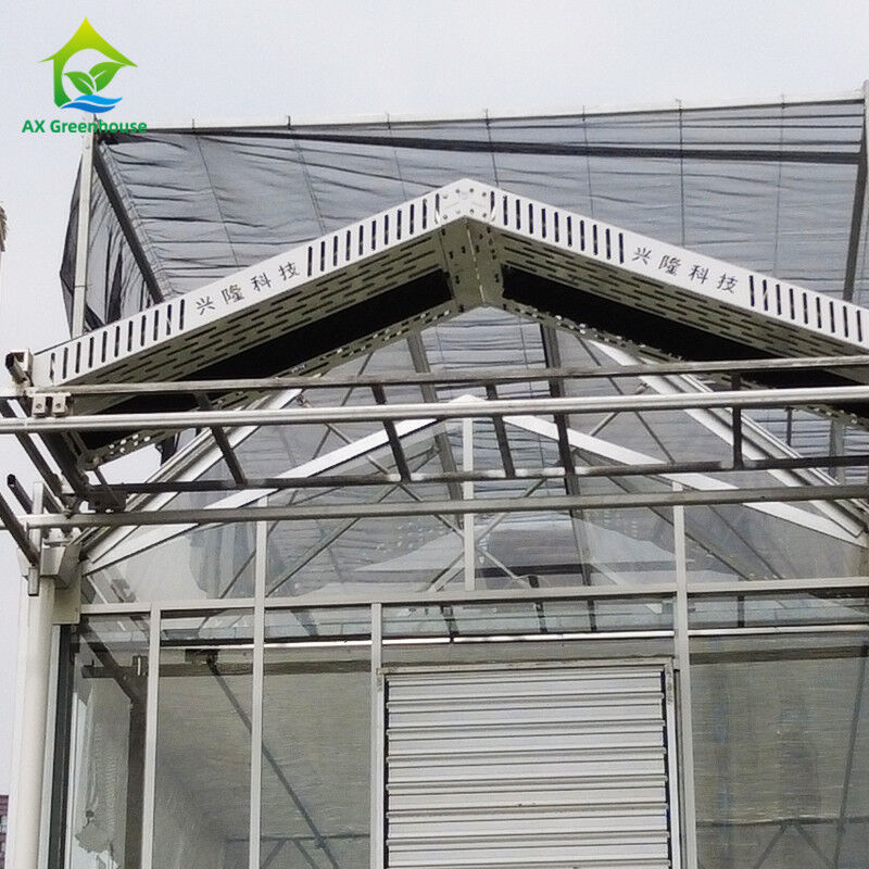 9.6m/10.8m/12m Width Aluminum Alloy Frame Agricultural Glass Venlo Multi-span Greenhouse With Triangle Roof Molding