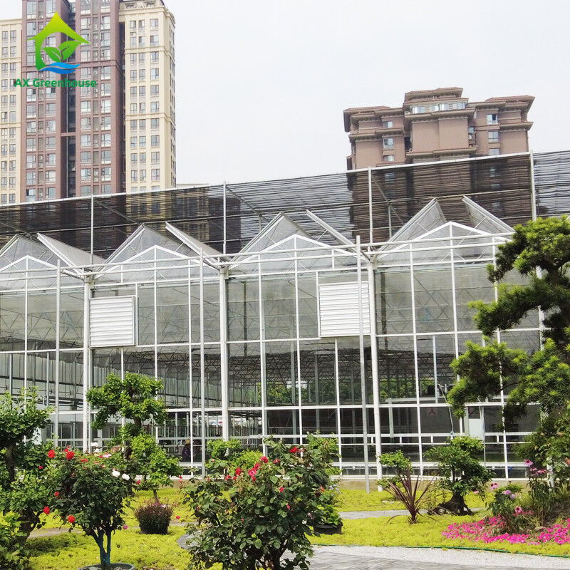 9.6m/10.8m/12m Width Aluminum Alloy Frame Agricultural Glass Venlo Multi-span Greenhouse With Triangle Roof Molding