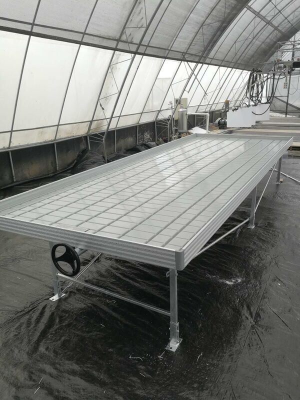 Greenhouse Ebb Flow Seedling Rolling Bench Grow Tables For Growing Various Plant Types