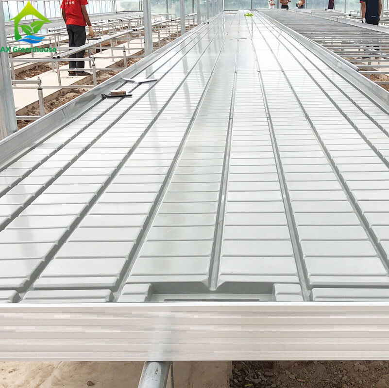 Ebb Flow Hydroponic Mobile Hydroponic Soilless Culture Grow Tables Rolling Bench For Seedling