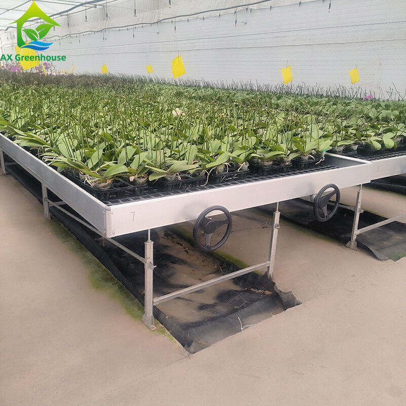 Ebb And Flood Hydroponic Movable Table Rolling Bench For Growing Plants In Greenhouse