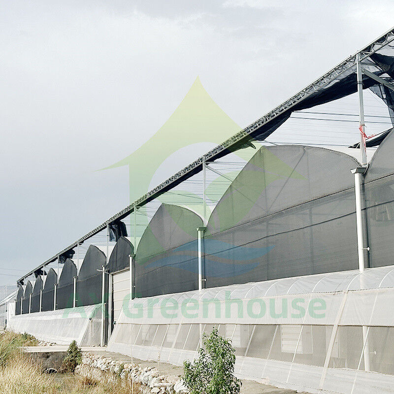 Plastic PE Film Multi Span Tomato Poly Tunnel Greenhouse For Fruits Vegetables With Shade Net