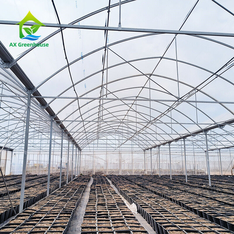 Multi Span Tropical Metal Frame Structure Tomato Poly Tunnel Greenhouse For Fruits Vegetables