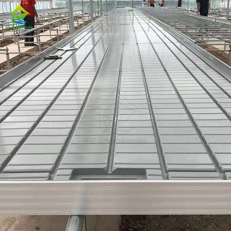 Ebb And Flood Hydroponic Movable Table Rolling Bench For Growing Plants In Greenhouse