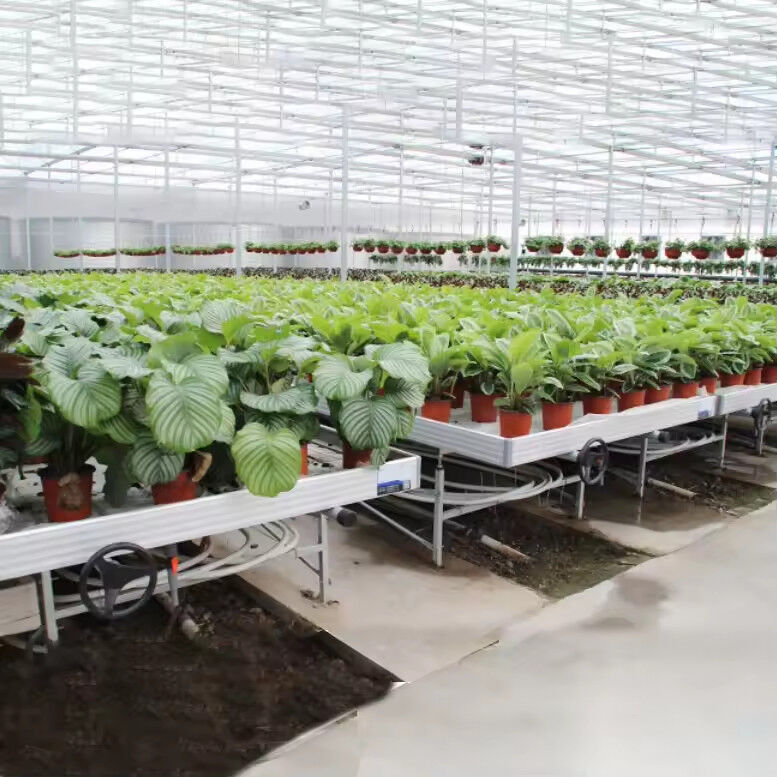 Greenhouse Indoor Hydroponic Ebb And Flood Rolling Benches Grow Seed Table For Seeding