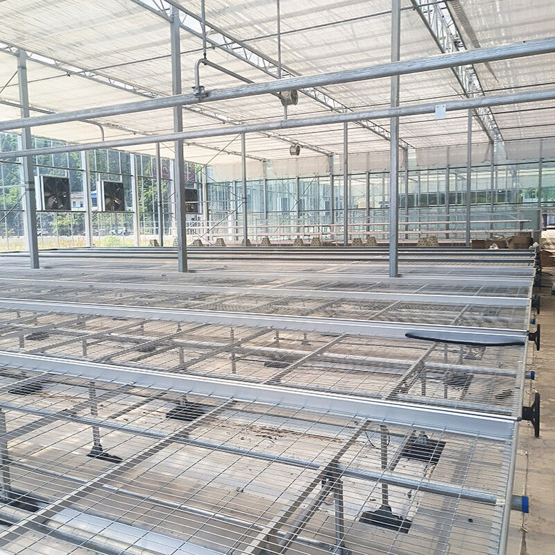 Agricultural Commercial Indoor Mesh Wire Greenhouse Grow Table Rolling Bench For Seeding