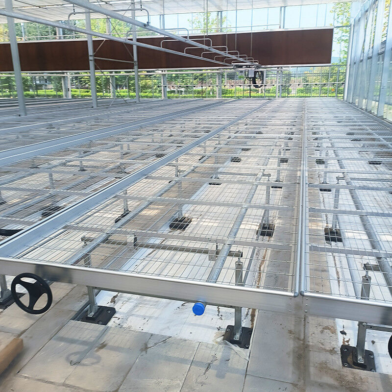 Lightweight Versatile Greenhouse Tables Expandable for Growing Various Plant Types Rust Resistant