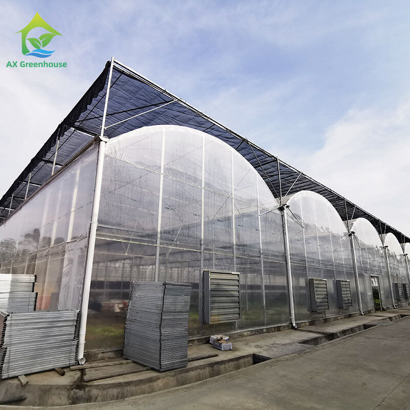 UV Resistant 30x10m Plastic Film Greenhouse for Tomato and Vegetable with Film Cover