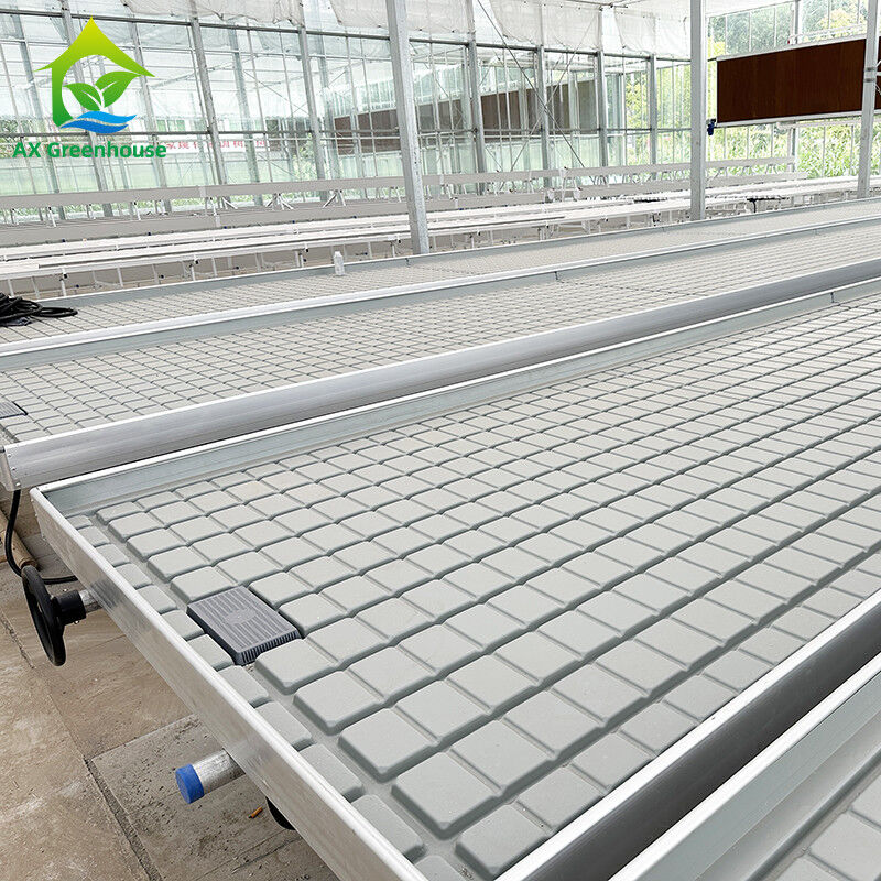 Greenhouse Hydroponic Soilless Culture Ebb Flood Grow Table Seedbed Rolling Bench For Lettuce