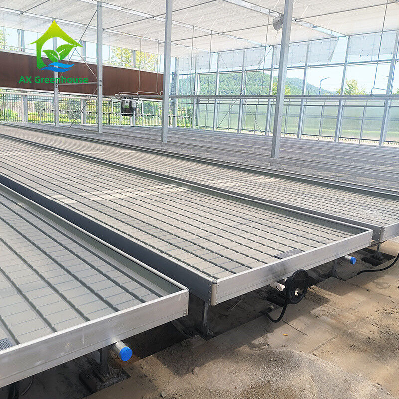 Greenhouse Hydroponic Soilless Culture Ebb Flood Grow Table Seedbed Rolling Bench For Lettuce