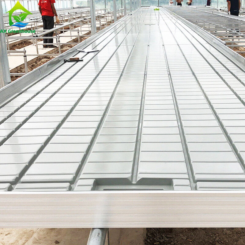 Custom Size Rolling Bench Seedbed for Tomato Plant Grow Table Ebb Flow Indoor Farming