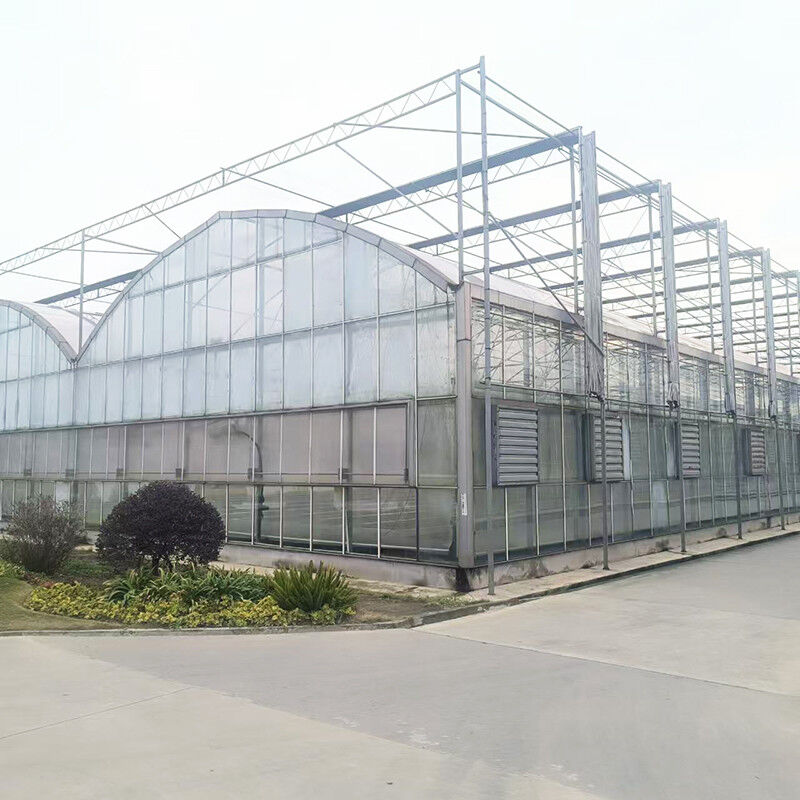 Triangle Roof Molding Commercial Multi-span Large Tunnel Glass House Flower Growing Gothic Greenhouse