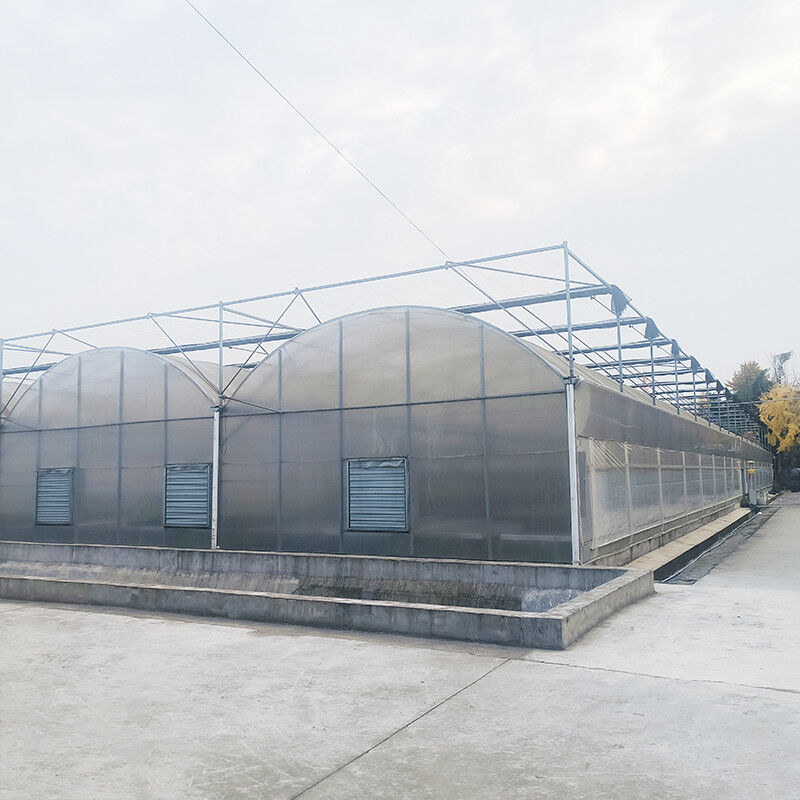 Triangle Roof Molding Commercial Multi-span Large Tunnel Glass House Flower Growing Gothic Greenhouse