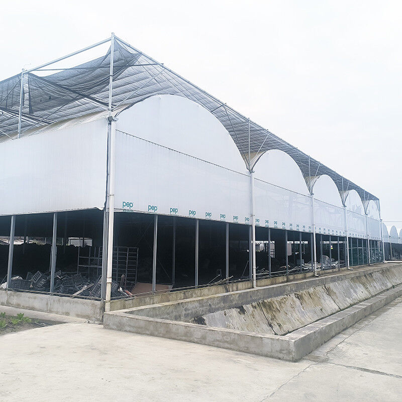 Hot Galvanized Steel Pipe Nursery Multi-span Panda Film Blackout System Mushroom Tropical Greenhouse