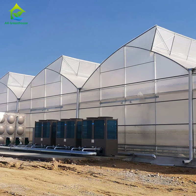 Multi-Span Poly Tunnel Greenhouse with Sawtooth Roof for Natural Ventilation and Light Diffusion