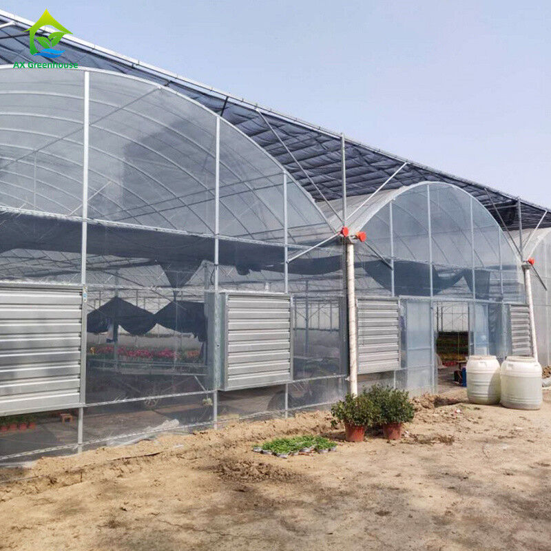 Stable Structure Wind Resistant Multi-span Large Tunnel Poly Film Hydroponic Greenhouse for Irrigation