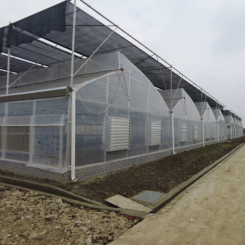 Plastic UV Film Poly Tunnel Agricultural Sawtooth Multi-span Custom Greenhouse for Sale