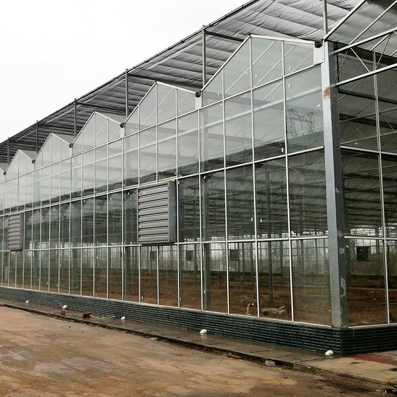 Horticultural Multi-span Agricultural Flower Growing Venlo Type Seeding Glass Greenhouse
