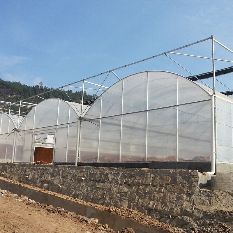 Commercial Polytunnel Multi-Span Greenhouse Modular Design Large-Scale Cultivation Galvanized Steel UV Film