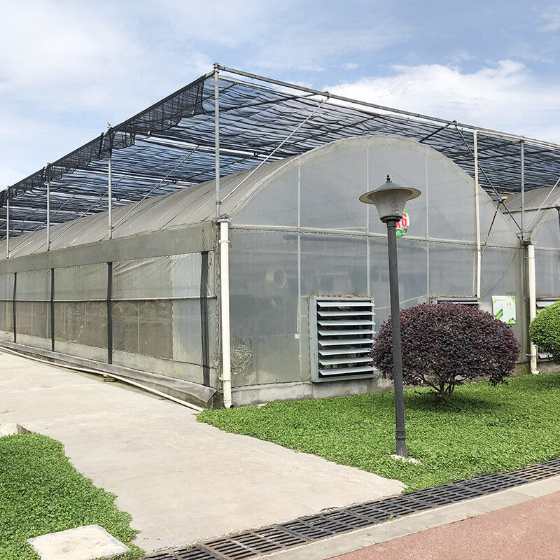 Commercial Polytunnel Multi-Span Greenhouse Modular Design Large-Scale Cultivation Galvanized Steel UV Film