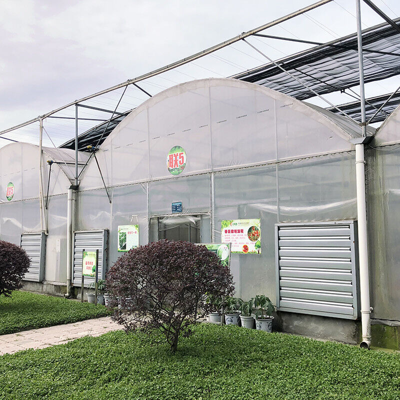 Stable Structure Industrial Plastic PE Film Multi-span Agricultural Flower House Poly Tunnel Greenhouse