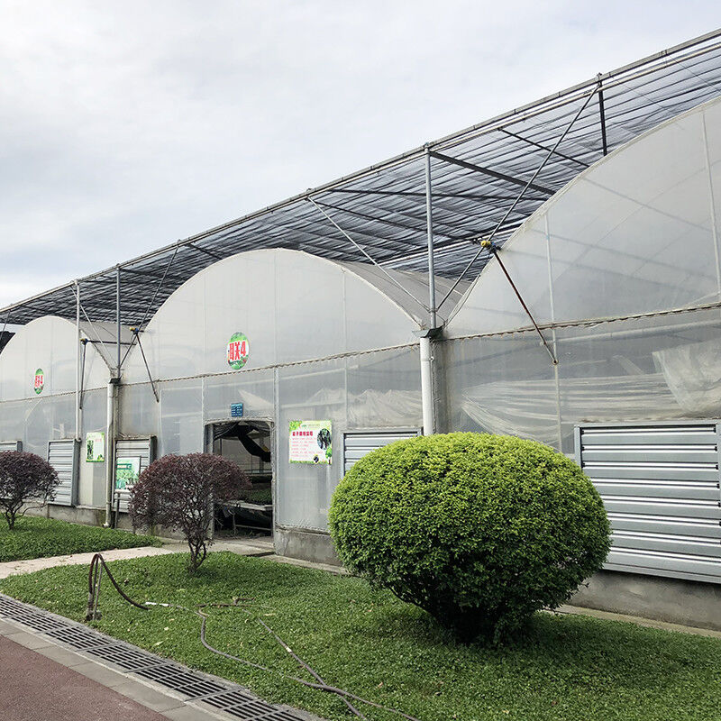 Stable Structure Industrial Plastic PE Film Multi-span Agricultural Flower House Poly Tunnel Greenhouse