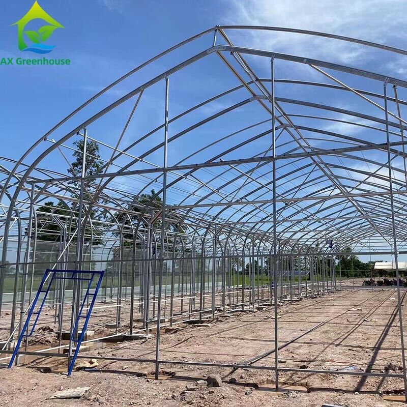 Customized Agricultural Seeding Light Deprivation Blackout Single-span Film Greenhouse Tent for Commercial Farming
