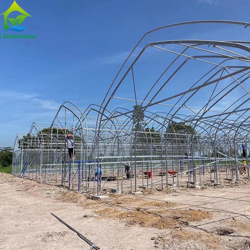 Customized Agricultural Seeding Light Deprivation Blackout Single-span Film Greenhouse Tent for Commercial Farming