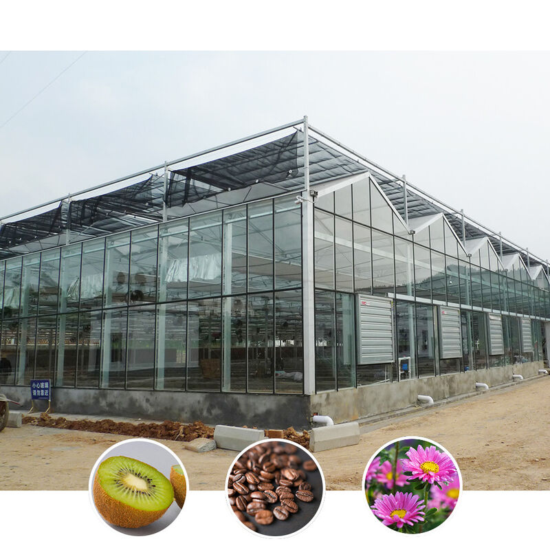 Venlo Type Galvanized Large Tunnel Agricultural Glass Greenhouse For Flowers