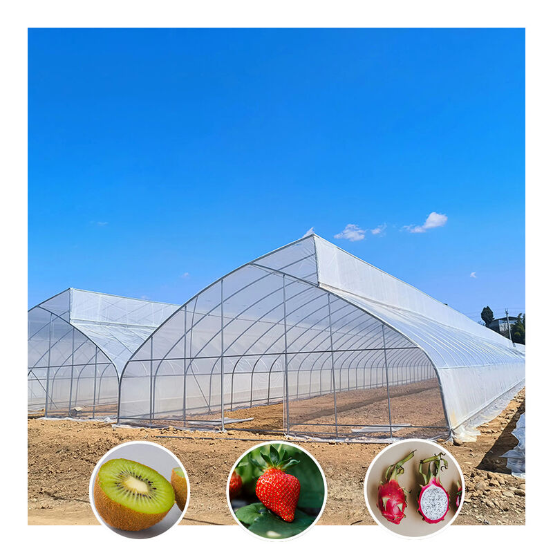 Single-Span Sawtooth Design Tropical Plastic Film Greenhouse Tunnel Customized for Vegetable Growing