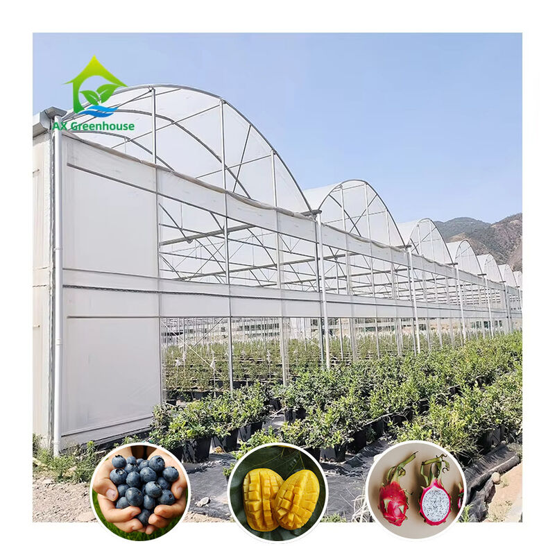 Horticultural Plastic Film UV Resistant Large Poly Tunnel Multi-span Greenhouse for Vegetable
