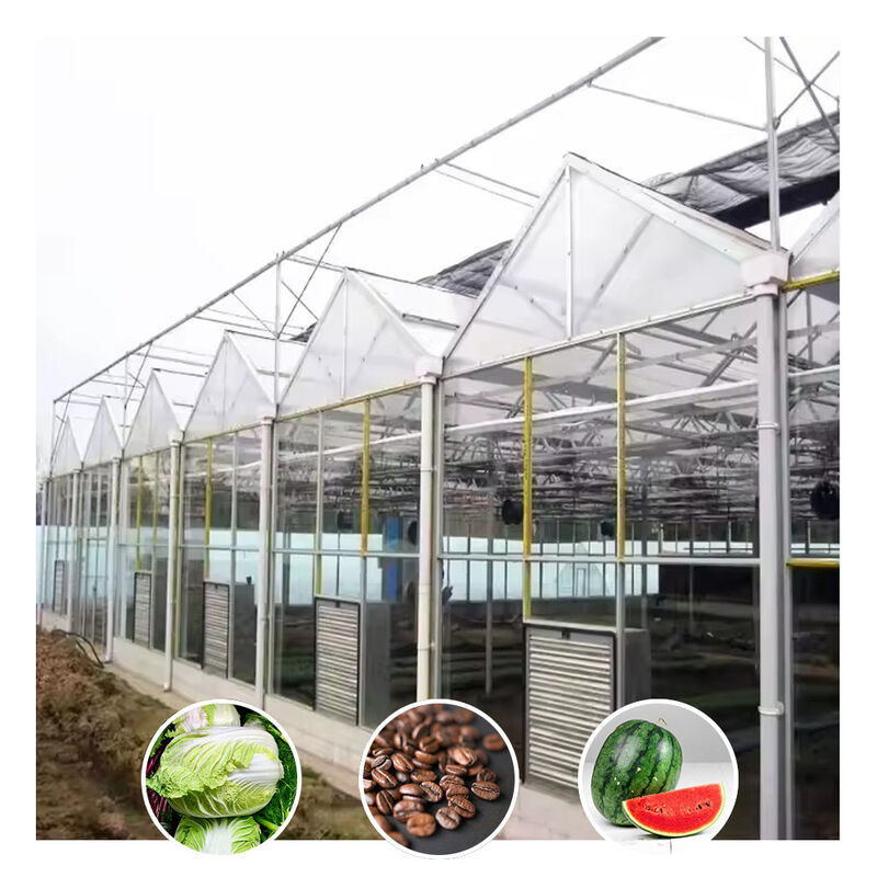 Venlo Type Galvanized Large Tunnel Agricultural Glass Greenhouse For Flowers