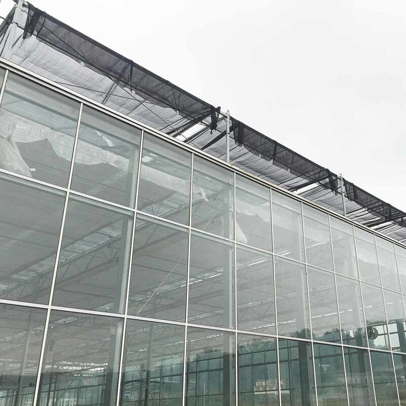 Agricultural Venlo Type Glass Greenhouse Dutch Engineering Galvanized Frame for Hydroponic