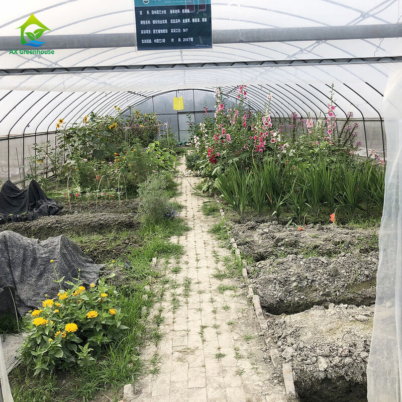 Factory Price Custom Plastic Film Tunnel Tomato Grow Tent Greenhouse For Agriculture