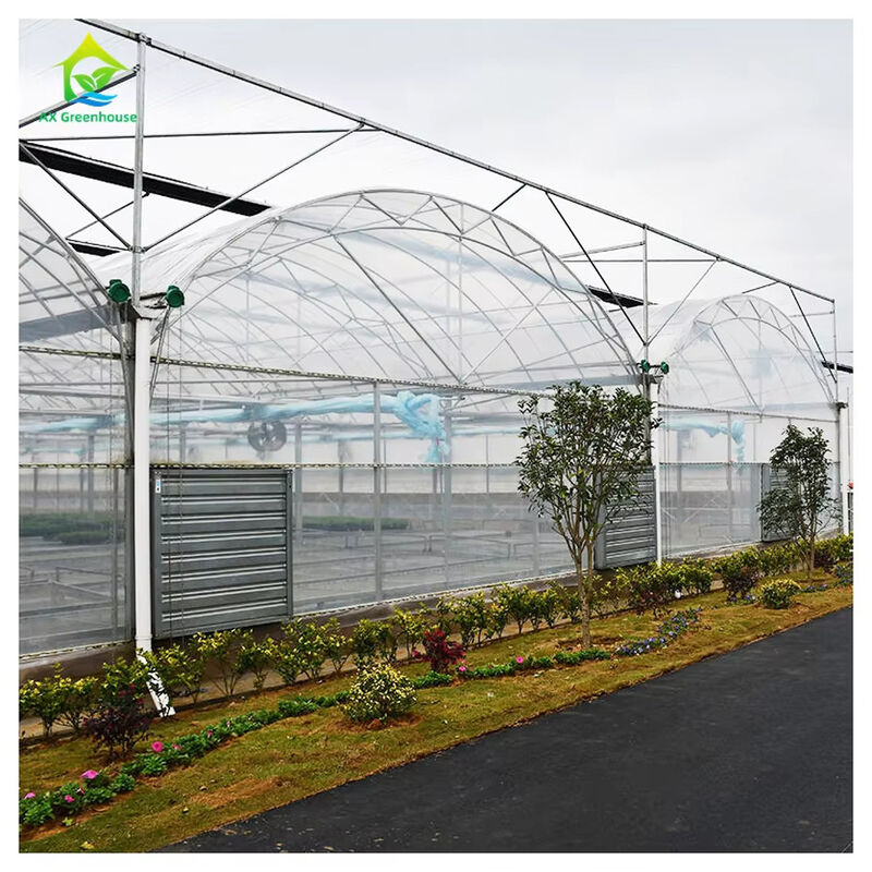 Commercial Polytunnel Multi-Span Greenhouse Modular Design Large-Scale Cultivation Galvanized Steel UV Film