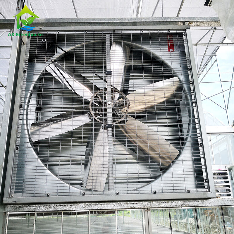 Industrial Grade Aluminum Greenhouse Exhaust Fans Corrosion Resistant for Humid Evaporative Cooling