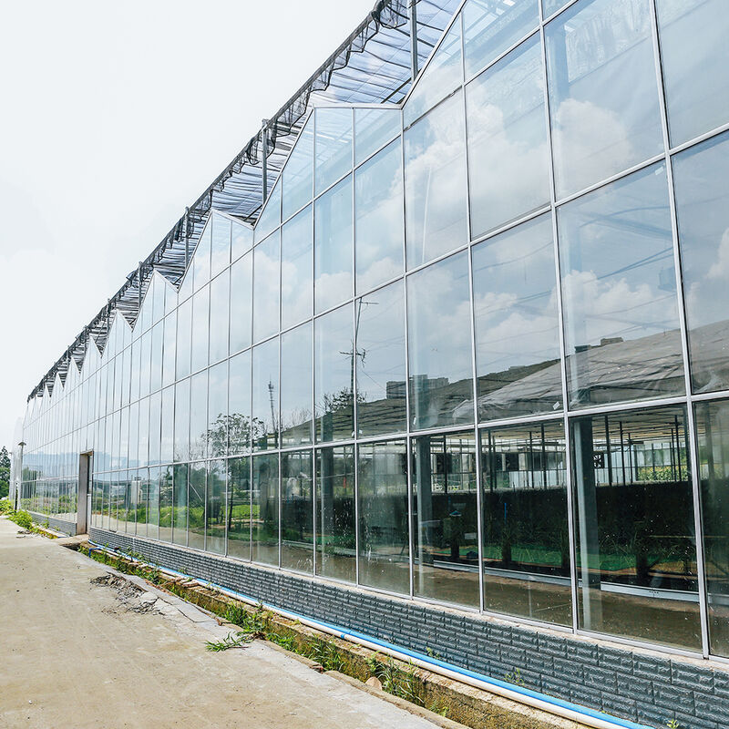 Horticultural Multi-span Agricultural Flower Growing Venlo Type Seeding Glass Greenhouse