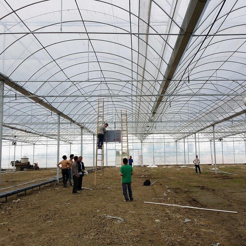 Reliable Poly Tunnel Greenhouse Anti Rust Steel Frame Long Lasting Film for Tomato