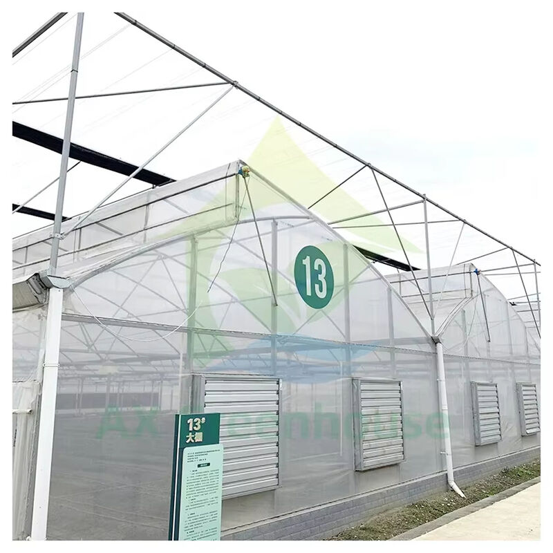 Multi-Span Poly Tunnel Greenhouse with Sawtooth Roof for Natural Ventilation and Light Diffusion