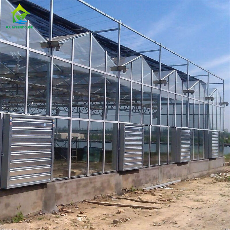 Vegetable Strawberry Growing Equipment in Durable Glass Polycarbonate Greenhouse - All-in-One Greenhouse Kit