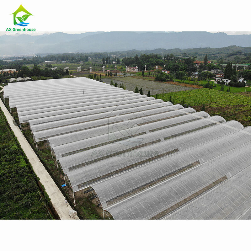 Large-scale agricultural multi-span greenhouses | Professional greenhouse factory for bulk customization