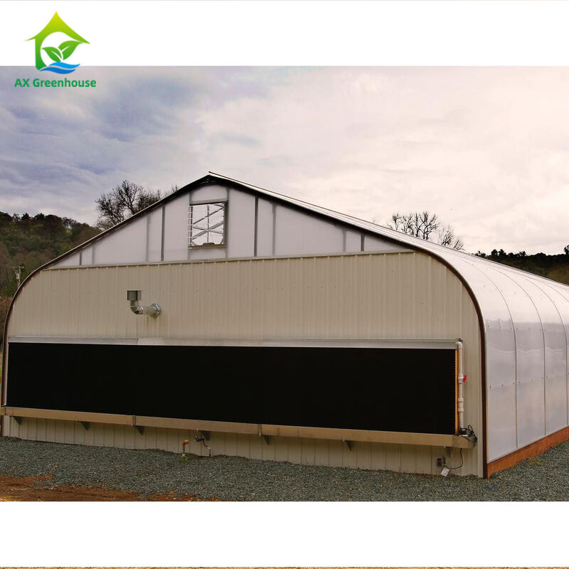 1.8-3m Wall Height Light Dep Grow Tunnel Greenhouse With Climate Control System