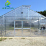Commercial Single Span Venlo Type PC Sheet Greenhouse Impact Resistant