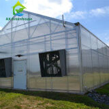 Commercial Single Span Venlo Type PC Sheet Greenhouse Impact Resistant