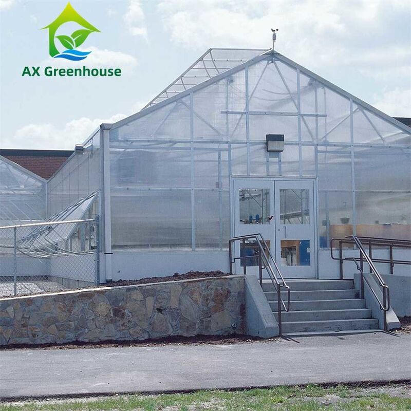 Plants Cultivation Single Span Polycarbonate PC Sheet Greenhouse with Stable Structure and Easy Assembly